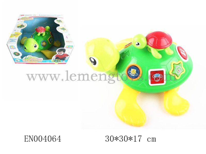 EN004064
Universal turtles